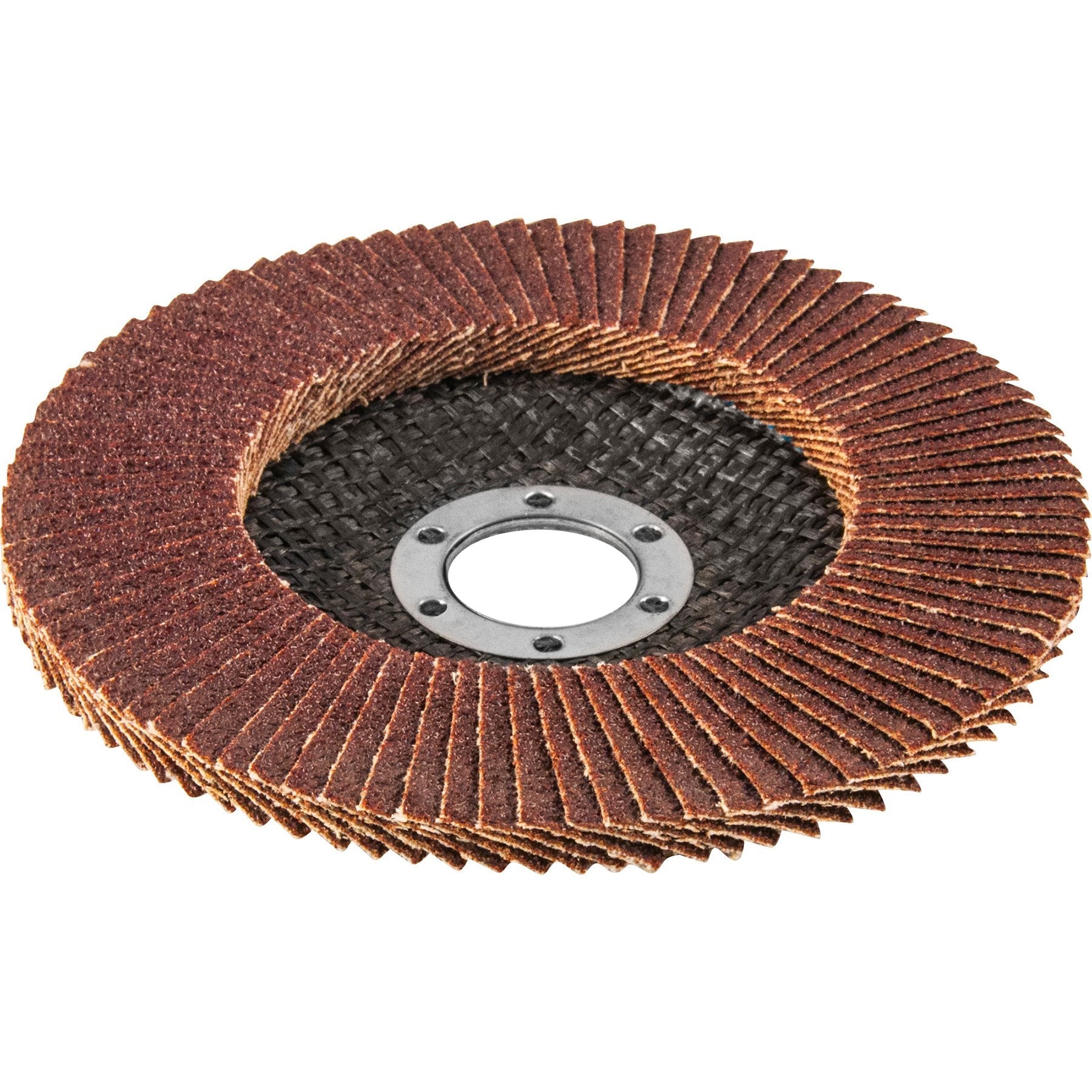 Petal grinding disc Thorvik Tools
